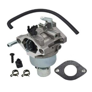 Briggs karburátor - 496796